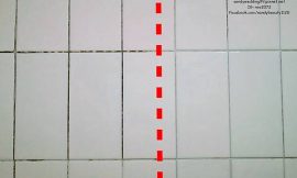 定期安排居家專業清潔，打造乾淨舒適的環境，家人住的又安心！