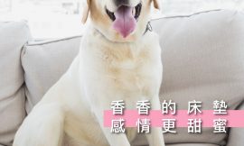 開心過情人節之餘，秋天即將來臨，是時候該冷氣清潔囉！