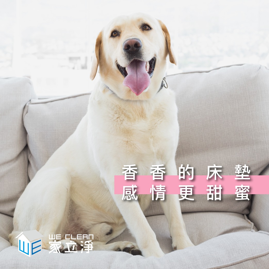 You are currently viewing 開心過情人節之餘，秋天即將來臨，是時候該冷氣清潔囉！