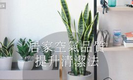 如何提升室內空氣品質？維持健康宜人的居家環境