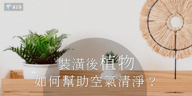 Read more about the article 裝潢後植物如何達到空氣淨化和美化效果？